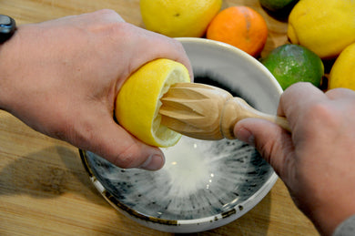 Citrus juicer