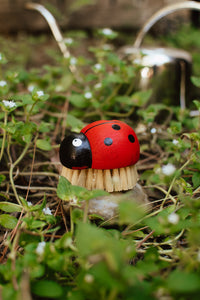 Ladybug Brush