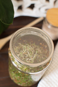 Seed Germination Lid