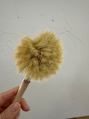 Seconds Long handle dish brush