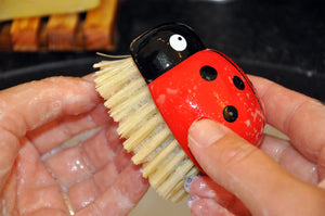 Ladybug Brush