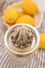 Load image into Gallery viewer, Stainless Steel Juicer - Wide Mouth