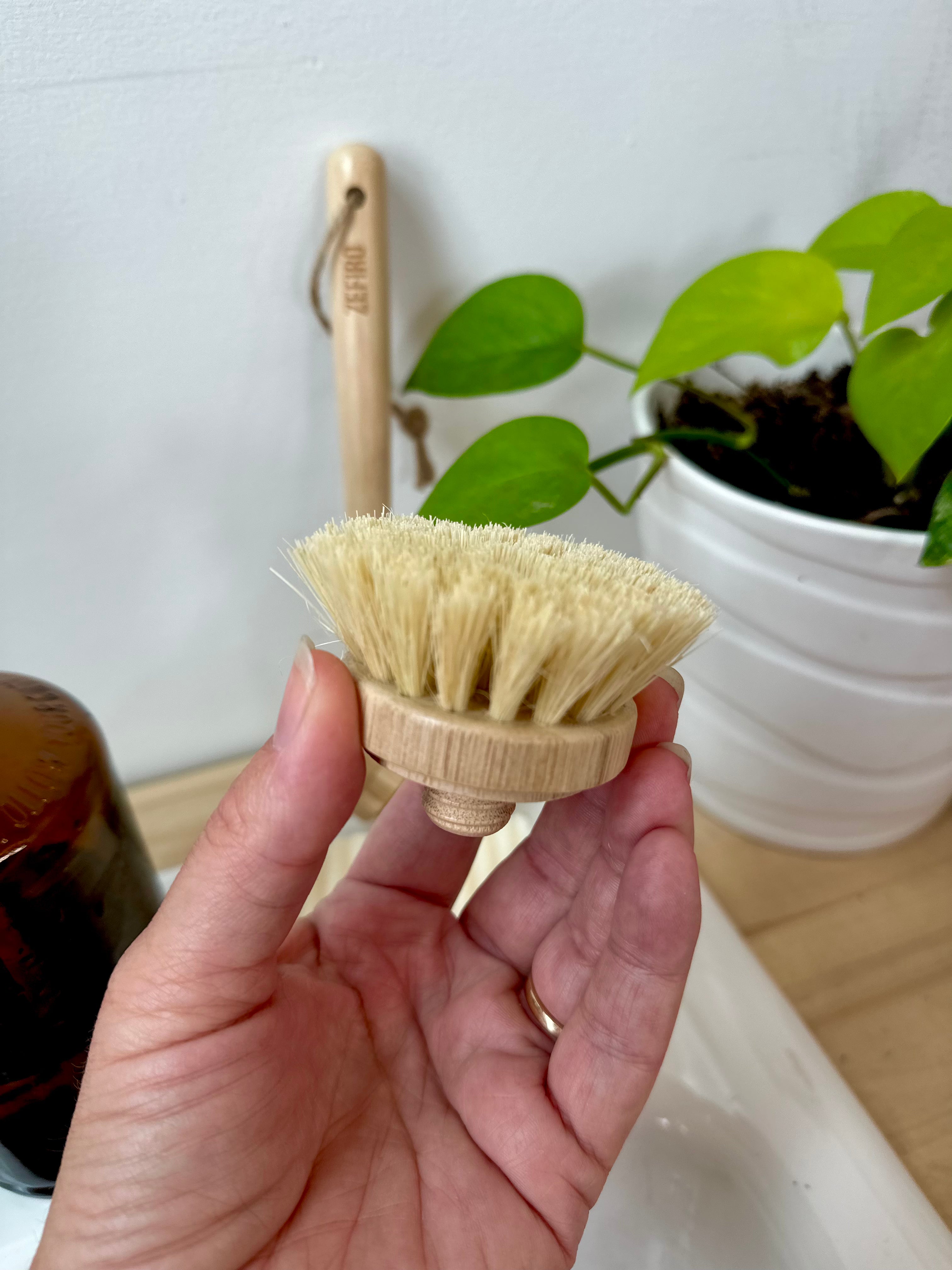 The Earthling Co. Dish Brush Replacement Head