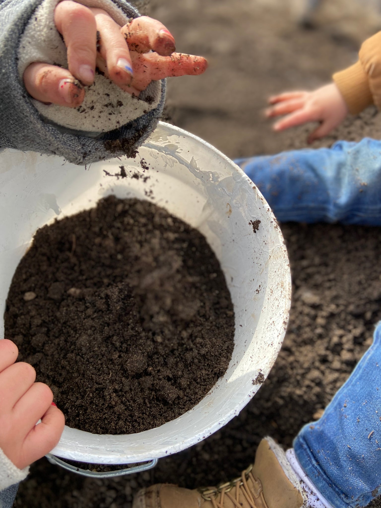Compost Bin Charcoal Filter – Zefiro Chicago