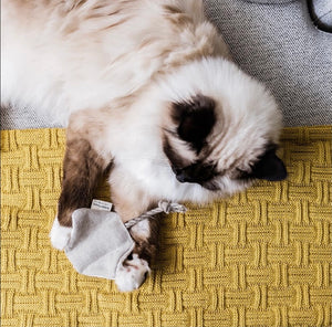 Cat Toy - Sting Ray