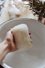 Load image into Gallery viewer, Kitchen Sponge - Loofah (3 Pack)