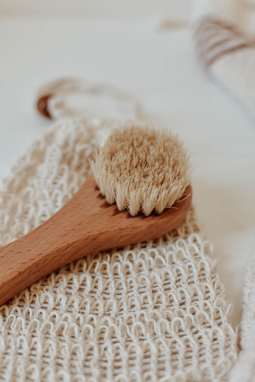 Dry Face Brush